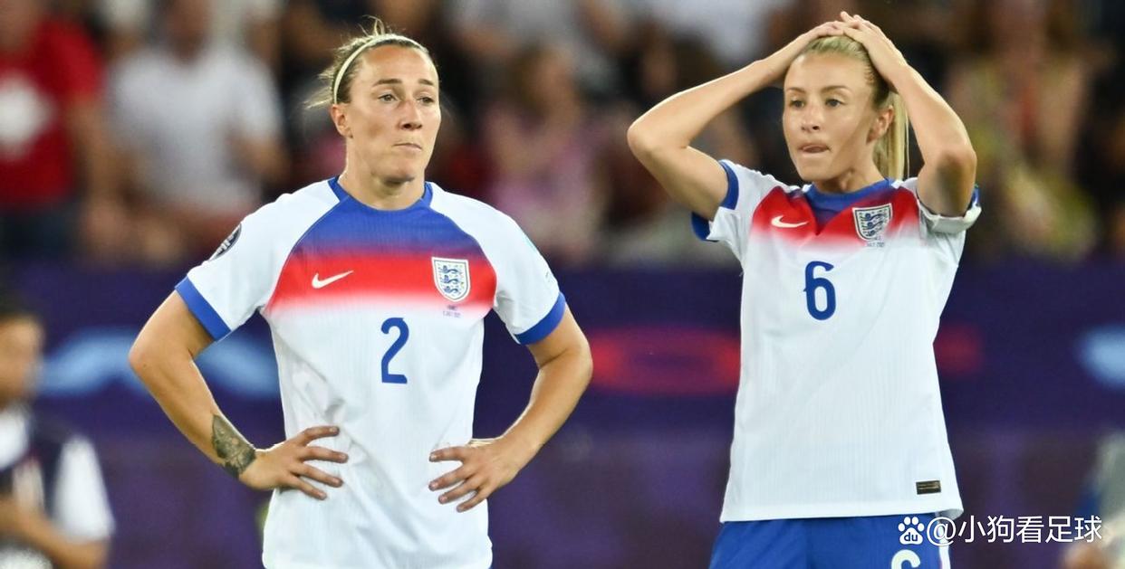 瑞士主场胜芬兰,赢得晋级关键的简单介绍 瑞士主场胜芬兰,赢得晋级关键的简单介绍