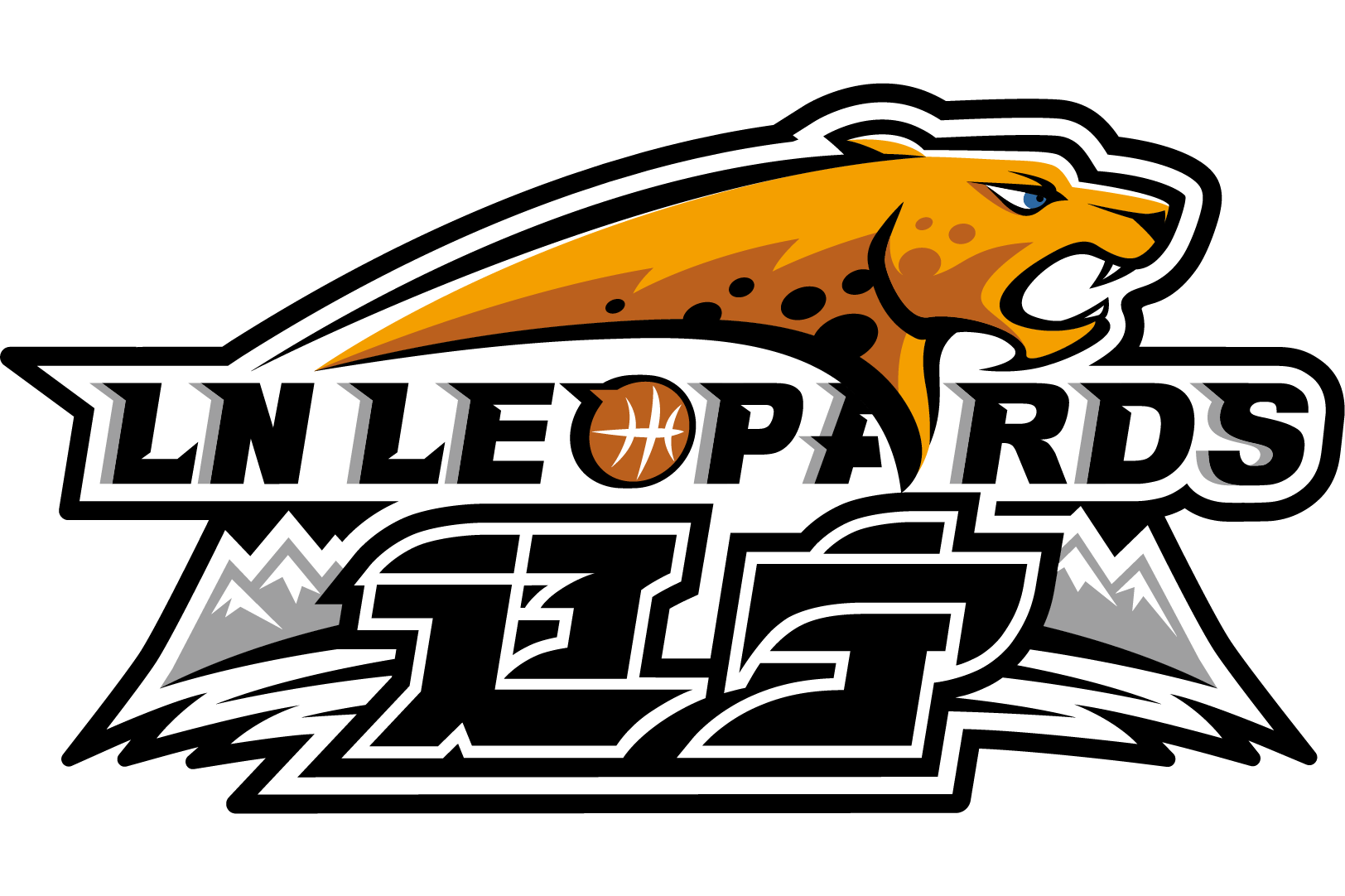 辽宁飞豹队实力超群，夺冠在望赛季的简单介绍