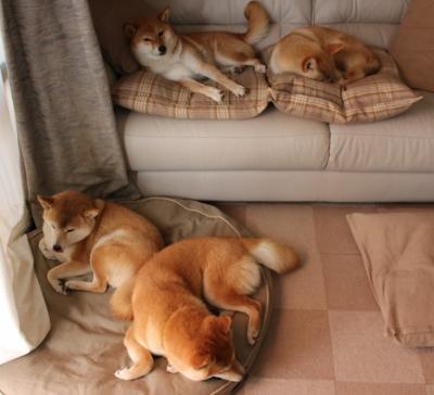 绿茵场上的双重奏,内马尔的掌控力与苏格兰的逆转美学