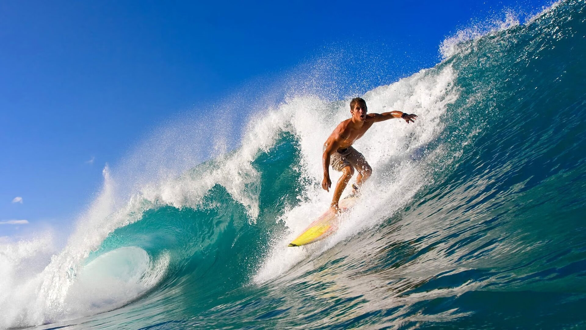 新王当立，ATP总决赛横扫拉沃尔杯，鲁德领军定义网坛新秩序